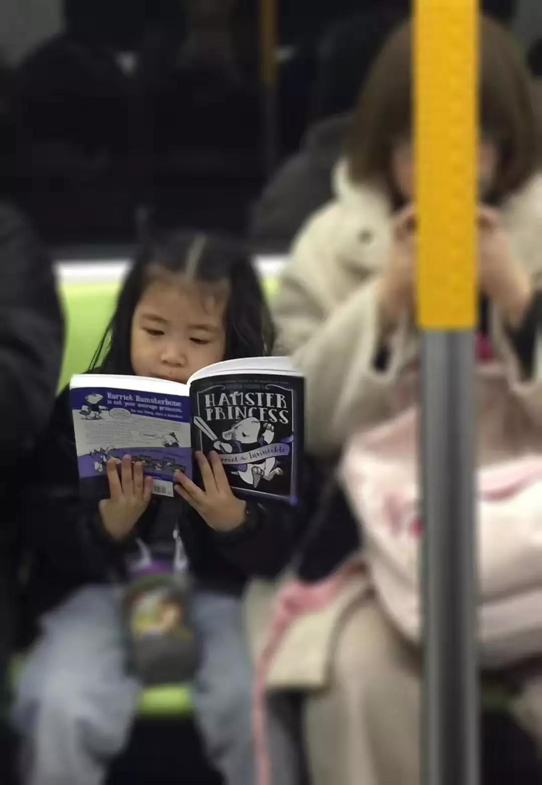 澳大利亚昆士兰州公立中小学 (2).jpg