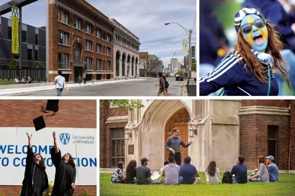 温莎大学（University of Windsor）位于安大略省温莎市.webp.jpg