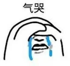 气哭.jpg
