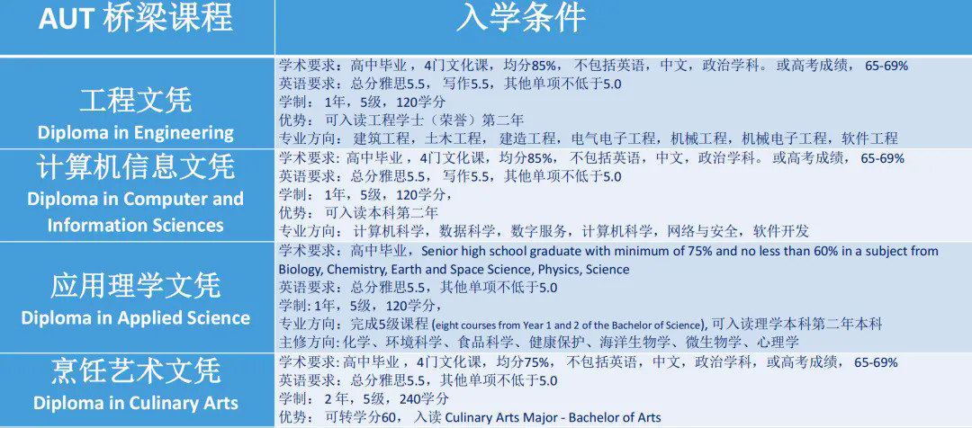 奥克兰理工大学预科和国际大一2.webp.JPG