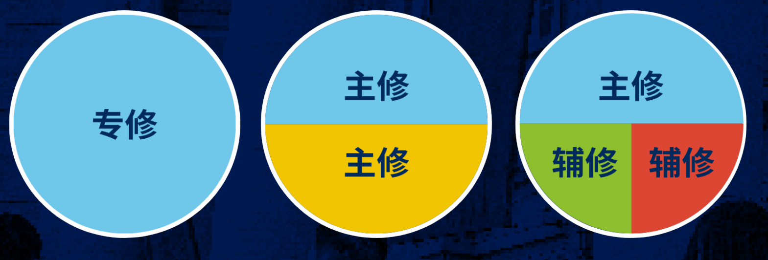 个性化制定你未来的专业学习.jpg