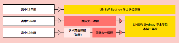 国际大一课程升学方案.jpg