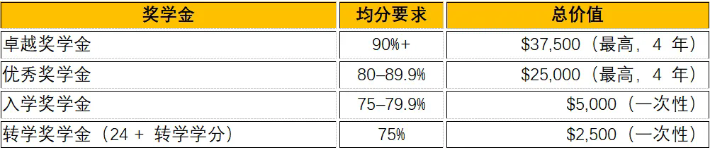 加拿大约克大学国际生入学奖学金.jpg